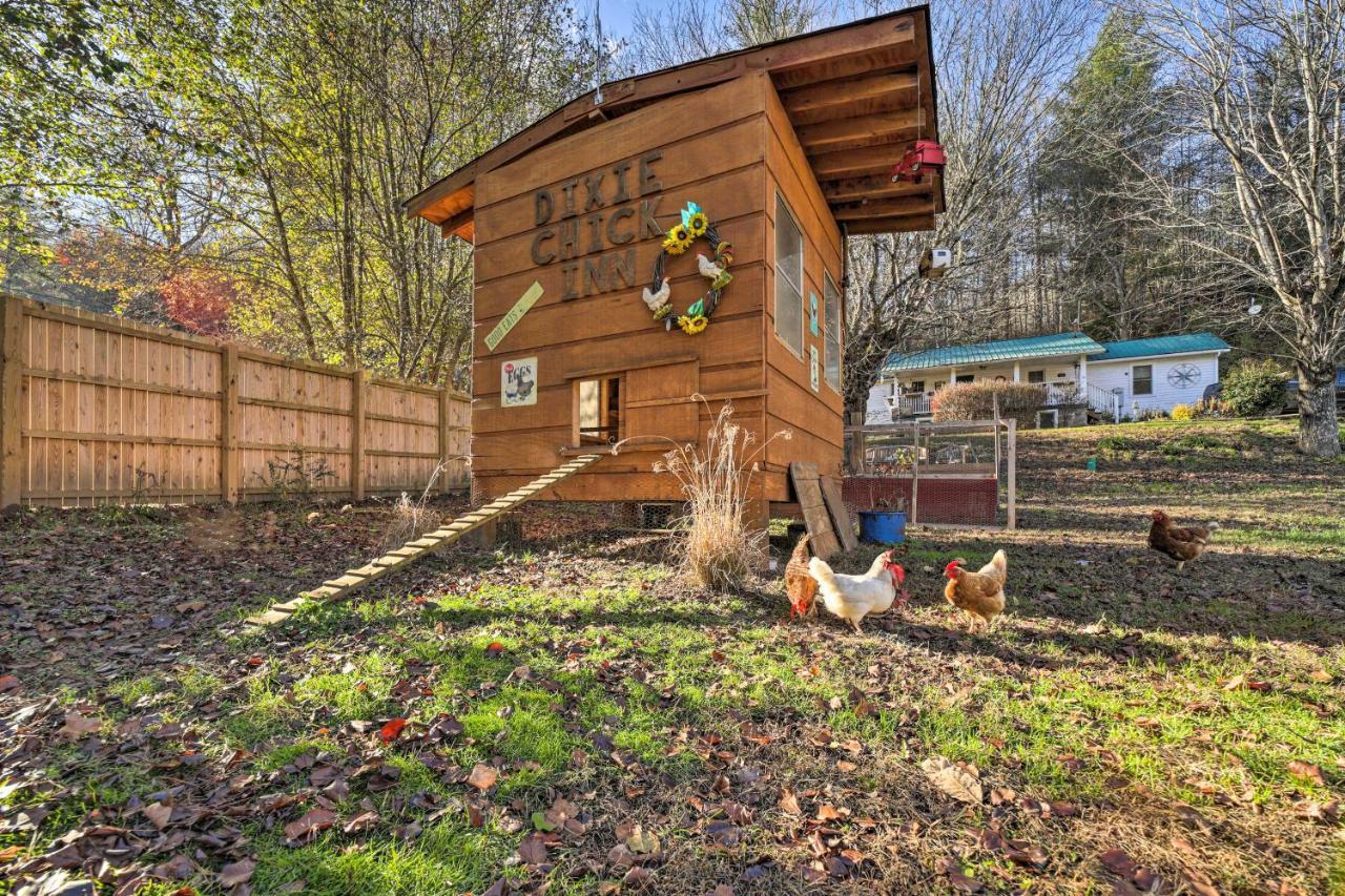 Smoky Mountain Vacation Rental With Hot Tub And Kayaks Whittier Exterior foto